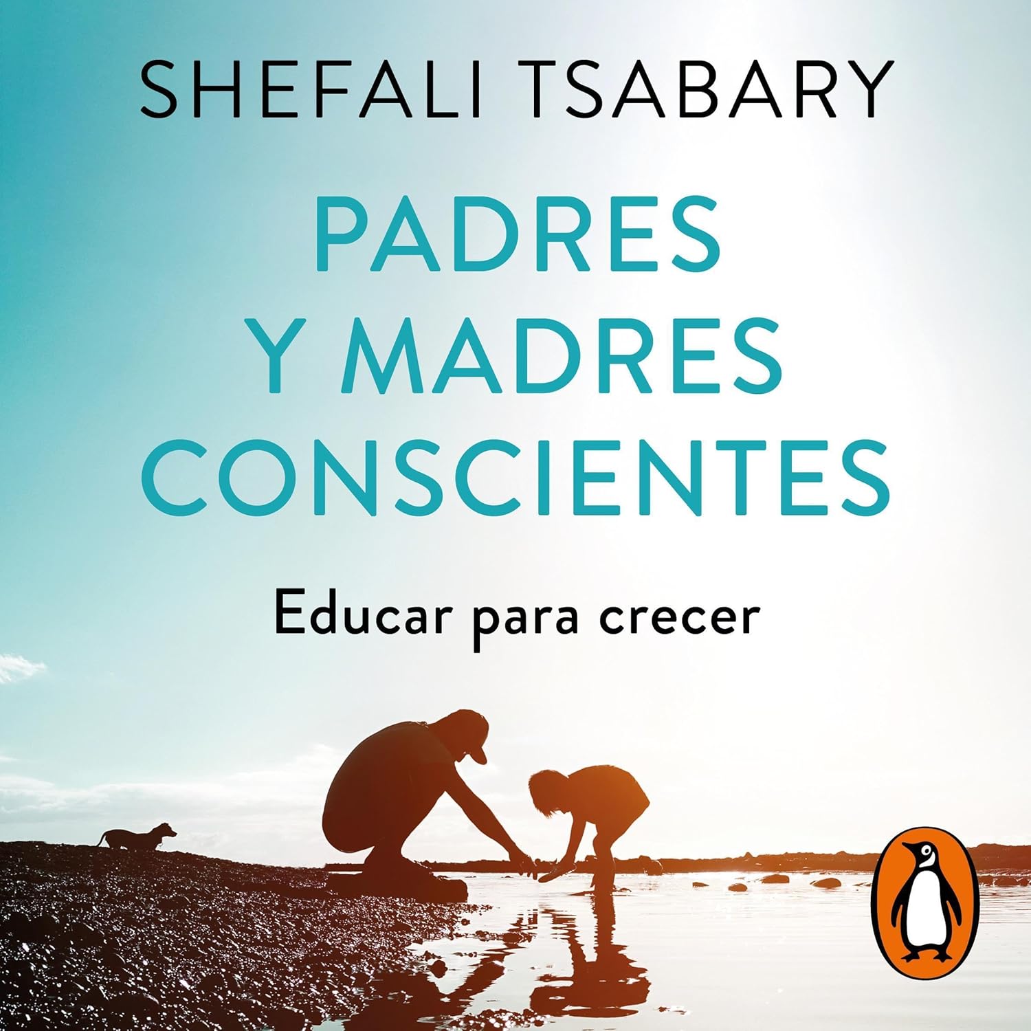 Productos Amazon