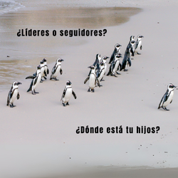Criar Líderes Emocionales 7 Claves Transformadoras