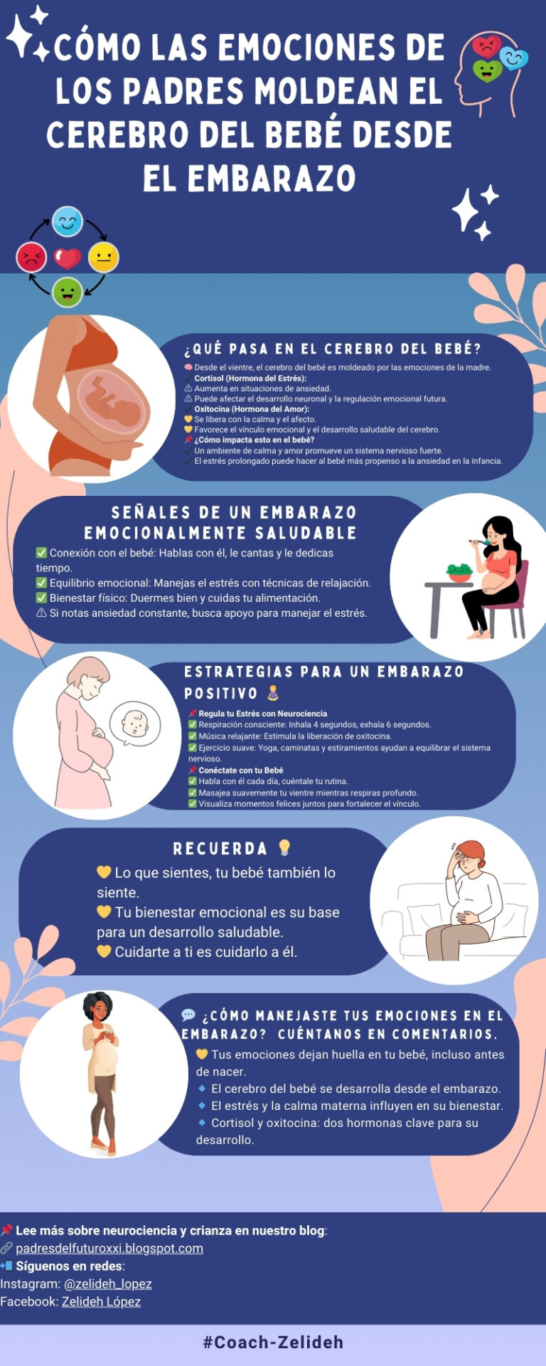 Desarrollo Fetal